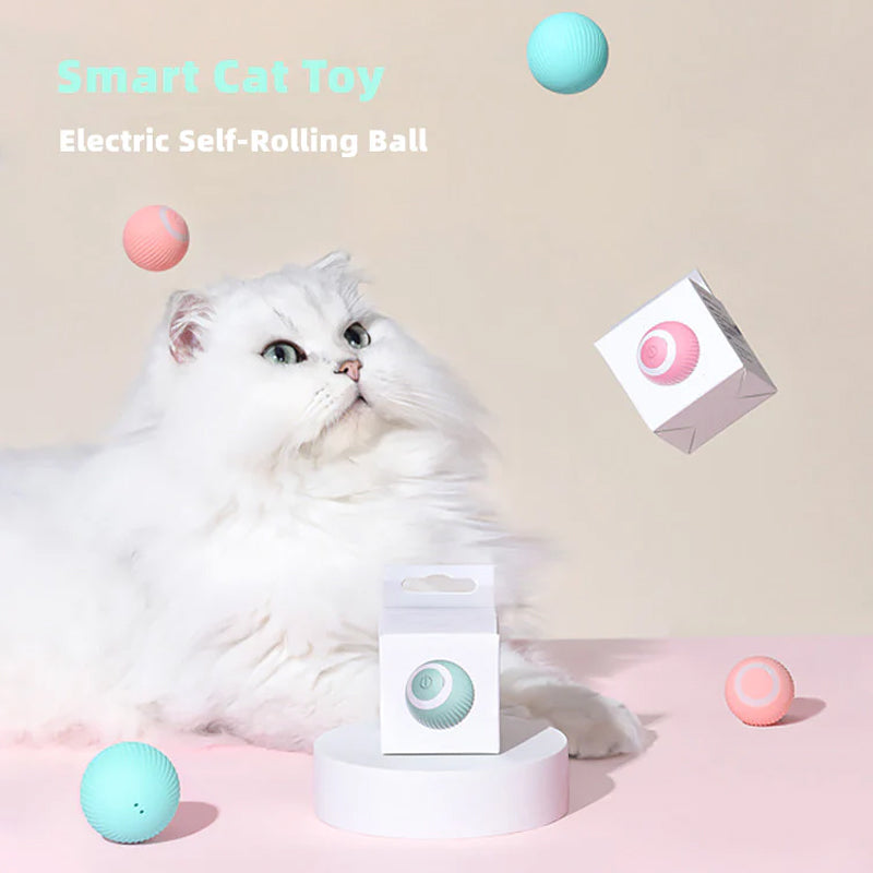 Cat Dance™ | Activate your cat's natural instincts! | 50% OFF