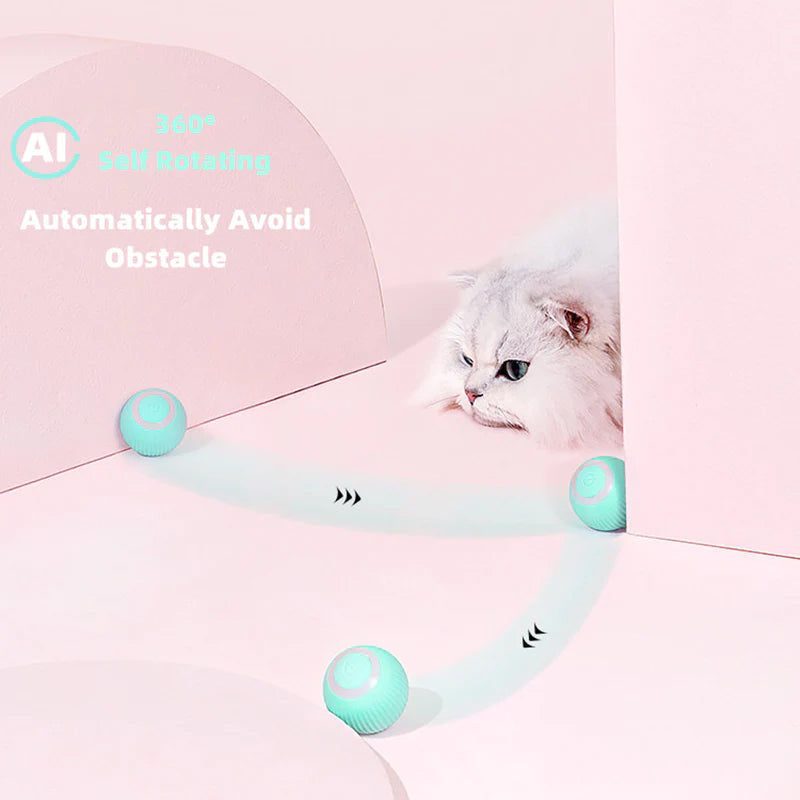 CatDance™ - Activate your cat's natural instincts!