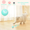Cat Dance™ | Activate your cat's natural instincts! | 50% OFF