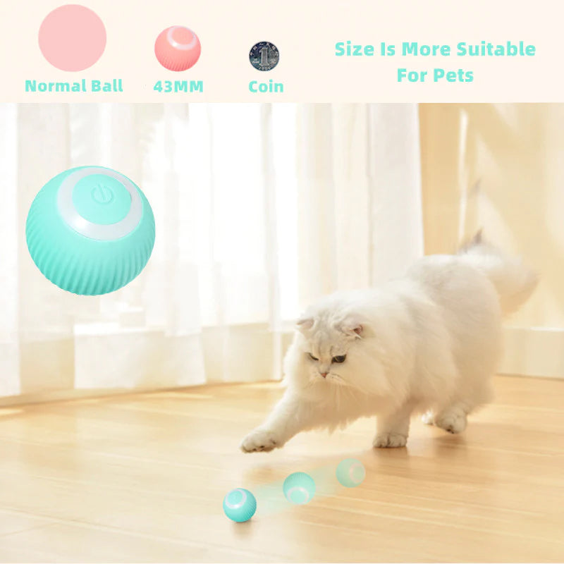 CatDance™ - Activate your cat's natural instincts!