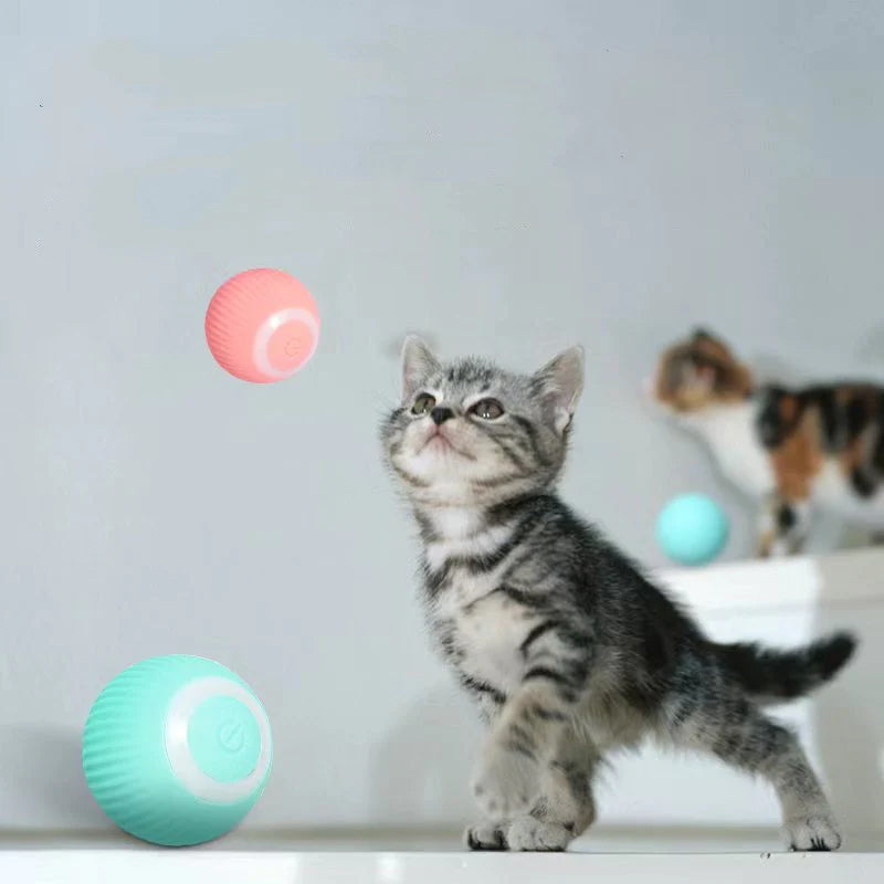 Cat Dance™ | Activate your cat's natural instincts! | 50% OFF