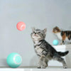 Cat Dance™ | Activate your cat's natural instincts! | 50% OFF