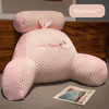 | BackWell™ | Pain-free night pillow