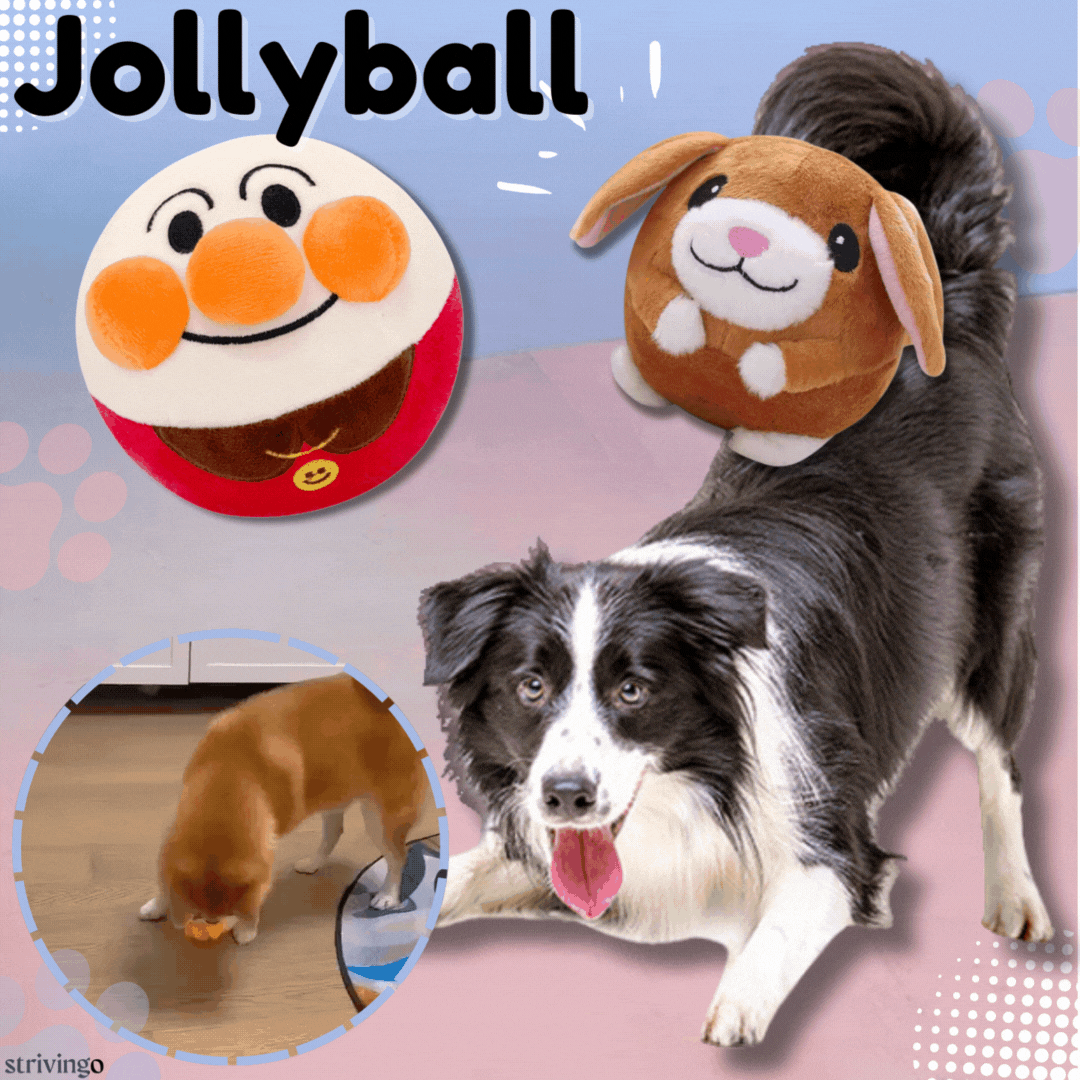 Jollyball Bouncing Ball Dog Toy