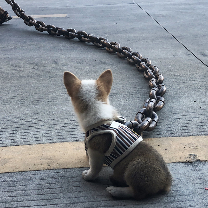 BarkBling | Funny Large Dog Collar