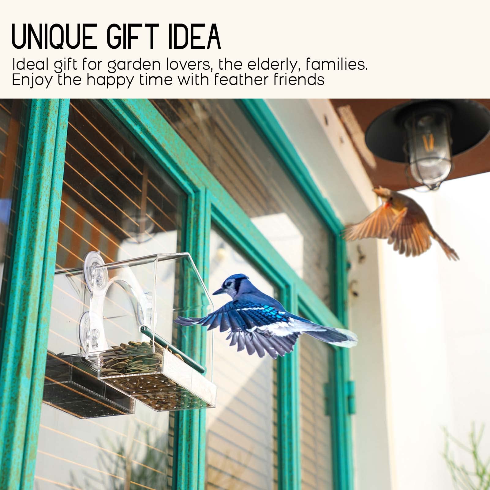 TweetieFeeder™ - Acrylic bird feeder for exterior windows [last day discount]