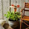Picky - Foldable picnic table with wine holder