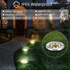 Fancy Solar™ - Signpost Lamps (4 Pack) 【Last Day Discount】