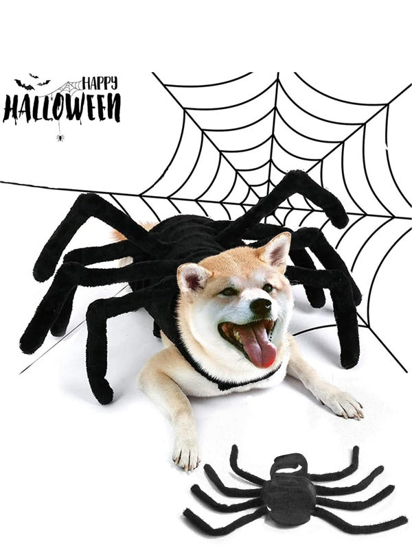 Arachnopup™ Halloween Dog Spider Costume
