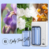 Pocket diffsuer™ - Wall-mounted automatic fragrance dispenser