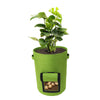SelfGard - Vegetable growing bag