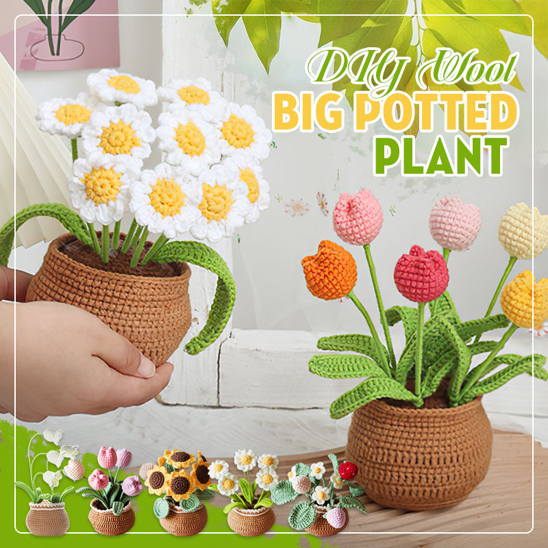 BloomCraft™ - Wool pot plants
