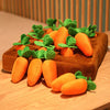 CarrotToy™ - Let your pets play