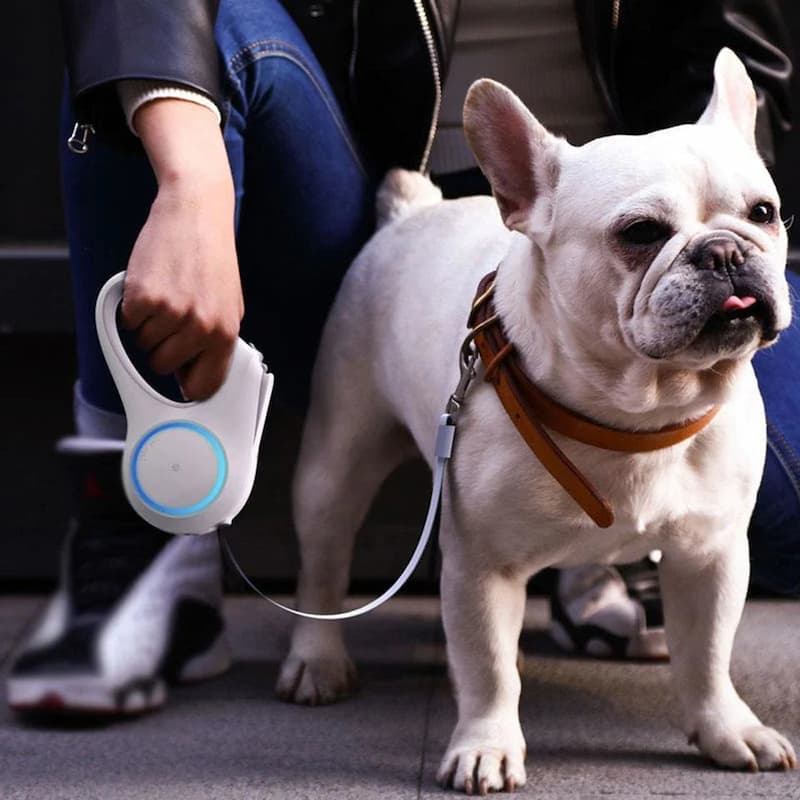 Easyleash - dog leash for night walks