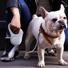 Easyleash - dog leash for night walks