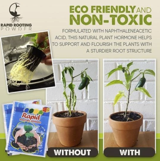 RapidRoot™ Organic Growth Powder 【Last day discount】