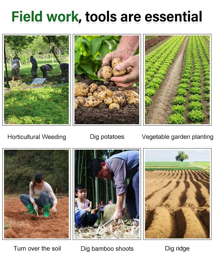 Weedy™ - Envided weed cutter