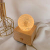 FloraSound™ - Bluetooth speaker with preserved flower [last day discount]