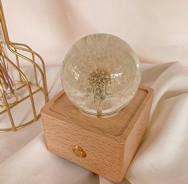 FloraSound™ - Bluetooth speaker with preserved flower [last day discount]