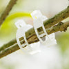 | Stemlink Plant Support Clips | Set of 100 PCS