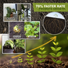 RapidRoot™ Organic Growth Powder 【Last day discount】