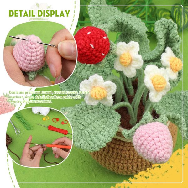 BloomCraft™ - Wool pot plants
