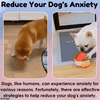 Jollyball Bouncing Ball Dog Toy