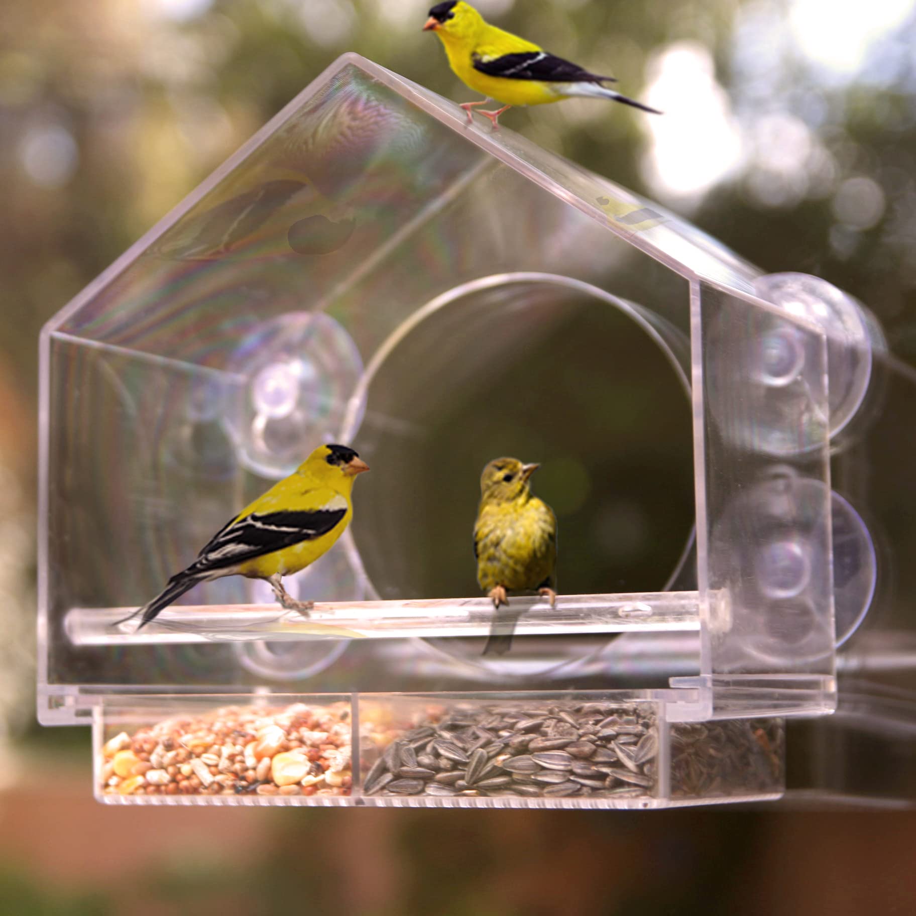 TweetieFeeder™ - Acrylic bird feeder for exterior windows [last day discount]