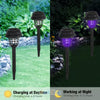 NoMosq™ - Mosquito repellent lamp for outdoors - No more mosquito bites!