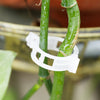 | Stemlink Plant Support Clips | Set of 100 PCS