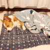 PeacePup™ - Calming blanket for dogs