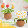 BloomCraft™ - Wool pot plants