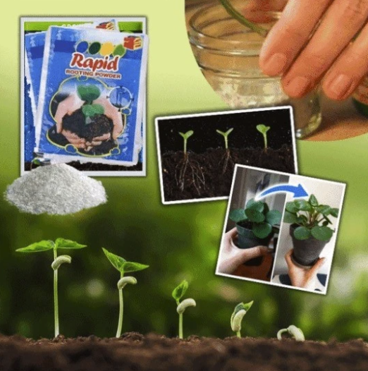 RapidRoot™ Organic Growth Powder 【Last day discount】