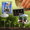 RapidRoot™ Organic Growth Powder 【Last day discount】