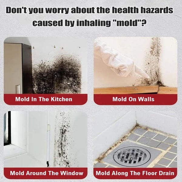 MildewGuard™ - Mold Cleaner