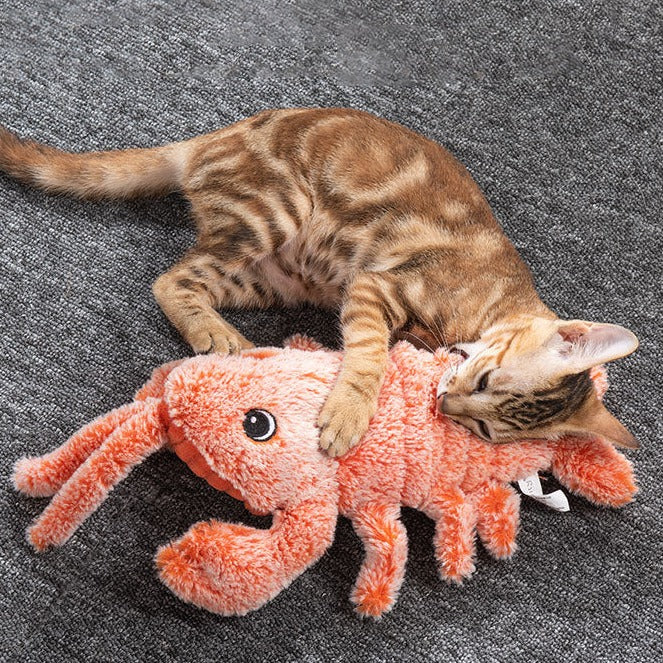 Myloveleypet - INTERACTIVE DOG TOYS