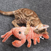Myloveleypet - INTERACTIVE DOG TOYS