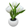 Tulip™️ - Tulip table lamp