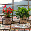 HangBloom™ - Transform your outdoor space into an artistic paradise!
