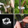 | Stemlink Plant Support Clips | Set of 100 PCS