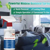 MildewGuard™ - Mold Cleaner