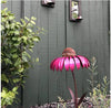 1+1 FREE | FlorAvian™ - Cone flower bird feeder