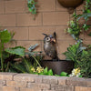 WonderWells™ - Animal Mouth Water Fountain