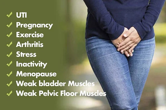 LeakProof™ - High Waist Leakproof Panties(3pcs)