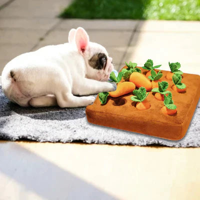 CarrotToy™ - Let your pets play