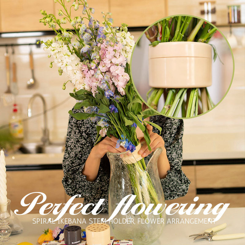 Florahold™ - Spiral stem holder | 1+1 FREE! [Last TAg discount]