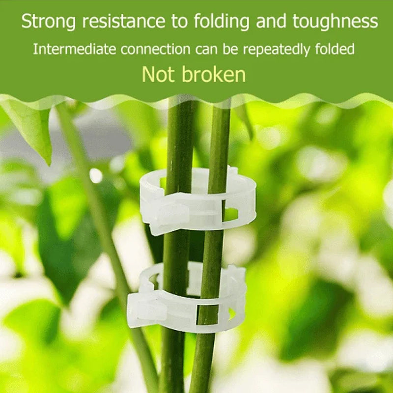 | Stemlink Plant Support Clips | Set of 100 PCS