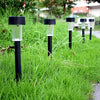 Solar Flare™ - Turn your garden into a nocturnal oasis!