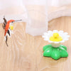 Katifly - Automatic Rotating Bird & Butterfly Toy for Cats