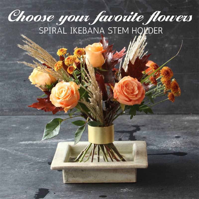Florahold™ - Spiral stem holder | 1+1 FREE! [Last TAg discount]